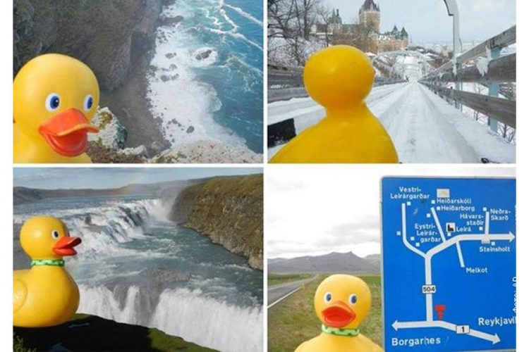 Ukradena gumena patka obišla svijet i vratila se kući poslije pet godina