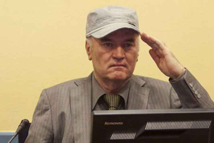 Završen dokazni postupak odbrane Ratka Mladića