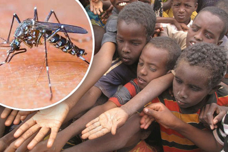 Smrtonosni afrički virus prijeti Evropi: Najgora epidemija u posljednjih 30 godina