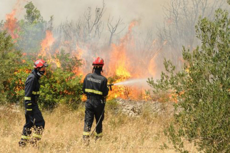 Požar u Trebinju: Gori borova šuma i nisko rastinje