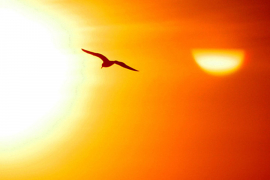 Danas sunčano, temperatura do 34 °C