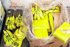 U kontejnerima za banane stiglo 900 kilograma kokaina u Sevilju