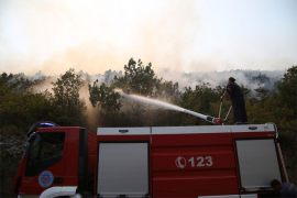 Požar progutao hiljade hektara šume, ekološka šteta nemjerljiva