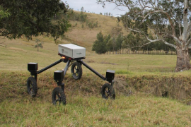 Roboti čuvaju ovce u Australiji