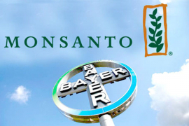 Monsanto konačno popustio, prihvatio ponudu Bajera