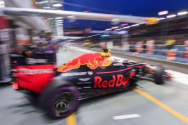 Džinovski gušter upao na stazu tokom treninga F1 (VIDEO)