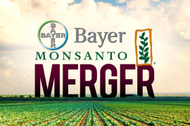Bajer diže kredit da kupi Monsanto
