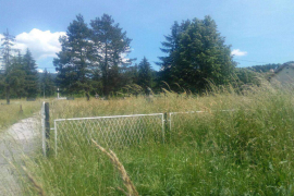 Stara groblja i decenijama u korovu