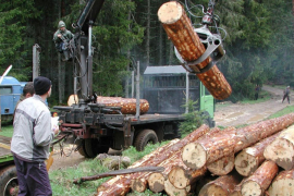 Uprava "Šuma Srpske" prikrila milionske obaveze? (FOTO)