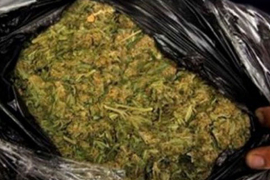Pronađeno 130 kilograma skanka u iznajmljenom stanu