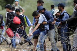 Malarija otkrivena kod 11 migranata u Srbiji