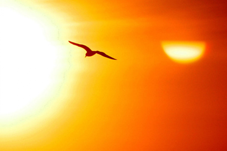 Danas sunčano, temperatura do 34 °C