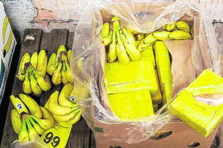 U kontejnerima za banane stiglo 900 kilograma kokaina u Sevilju