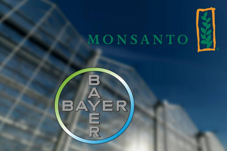 "Bajer" za "Monsanto" daje 65 milijardi dolara
