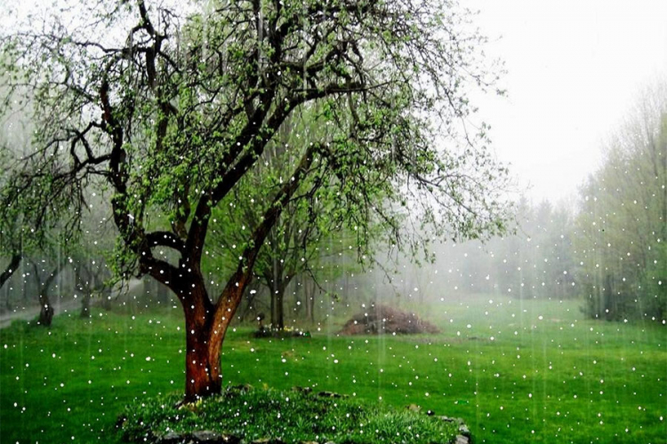 Oblačno sa kišom i pljuskovima, temperatura do 30