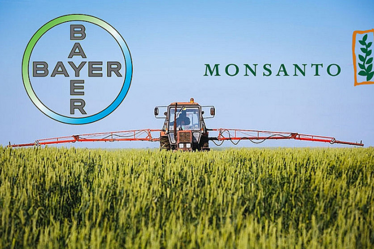 GMO (ne) ulazi na velika vrata u Evropu