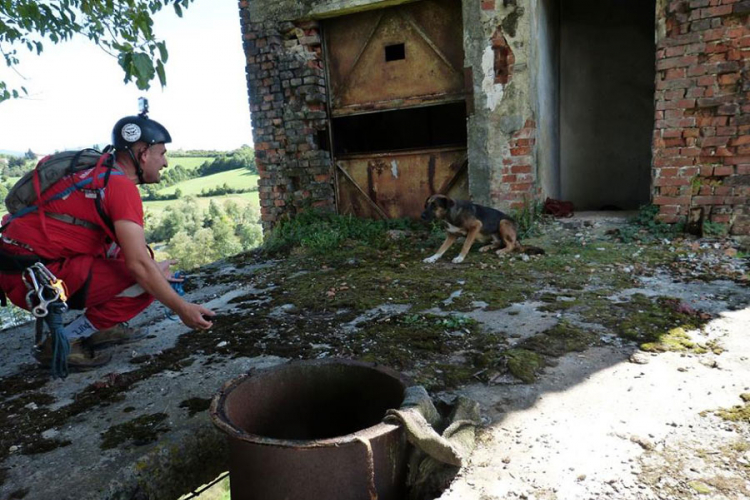 Spasili pse s vrha tornja