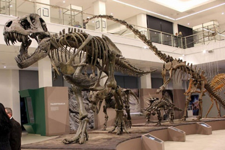 Stara planina jedan od najstarijih parkova dinosaurusa na svijetu?
