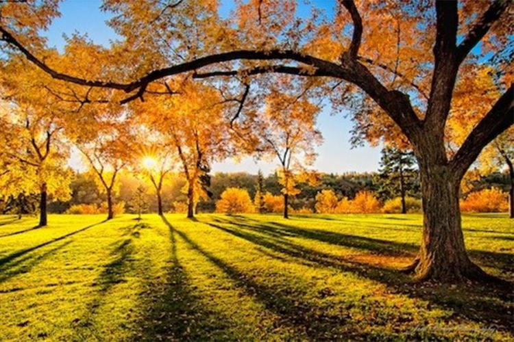 Hladno i sunčano jutro, dnevna temperatura do 25