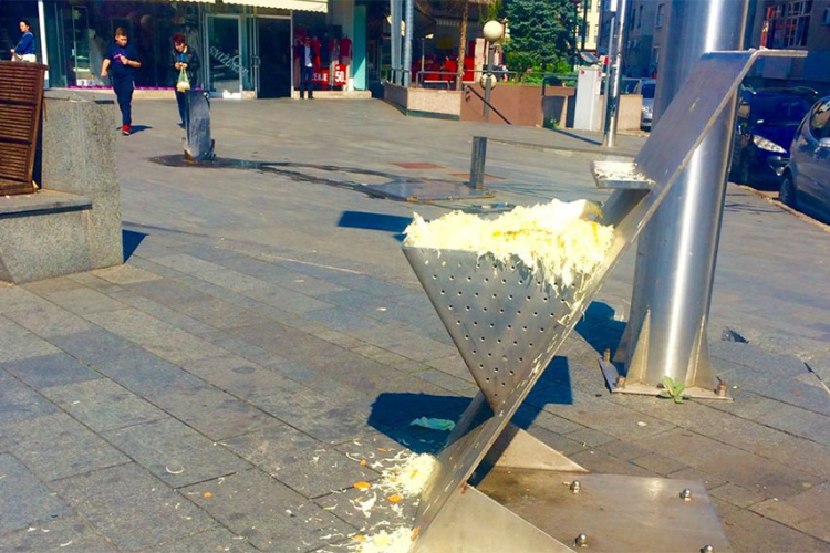 Kupusa ima i za bacanje?