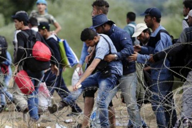 Malarija otkrivena kod 11 migranata u Srbiji
