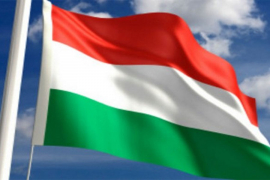 Izlaznost na referendumu u Mađarskoj  vjerovatno neće dostići 50 ...