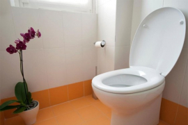 10 predmeta koje ne smijete bacati u WC šolju