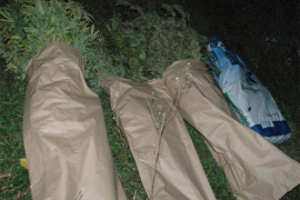 U Arilju zaplijenjeno 58 kilograma marihuane, uhapšene dvije osobe ...
