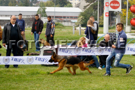 Banjaluka: Ljubimci  prošetali "Akvanom" (FOTO)