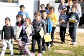 Policajca ima tek svaka peta škola


