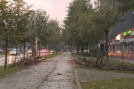 Vjetar oborio stablo u centru Banjaluke