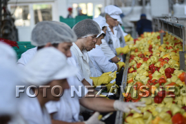 Domaći proizvodi napunili skladišta