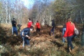 "Mozaik prijateljstva": Pošumljavanje na dvije lokacije