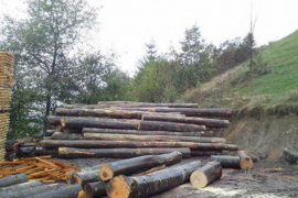Nesreća u Borkovićima kod Banjaluke: Balvan usmrtio radnika