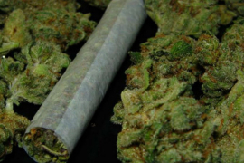 U Batrovcima zaplijenjeno više od 11 kilograma marihuane