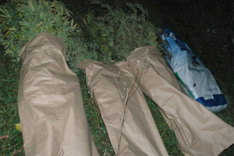 U Arilju zaplijenjeno 58 kilograma marihuane, uhapšene dvije osobe (FOTO)