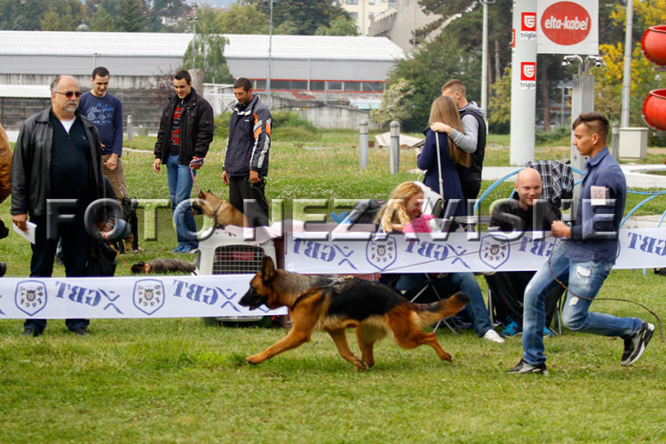Banjaluka: Ljubimci  prošetali "Akvanom" (FOTO)