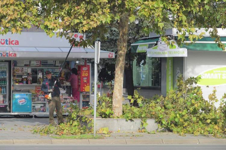 Počelo orezivanje gradskog zelenila