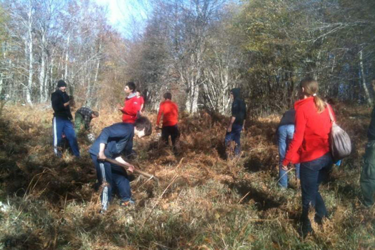 "Mozaik prijateljstva": Pošumljavanje na dvije lokacije