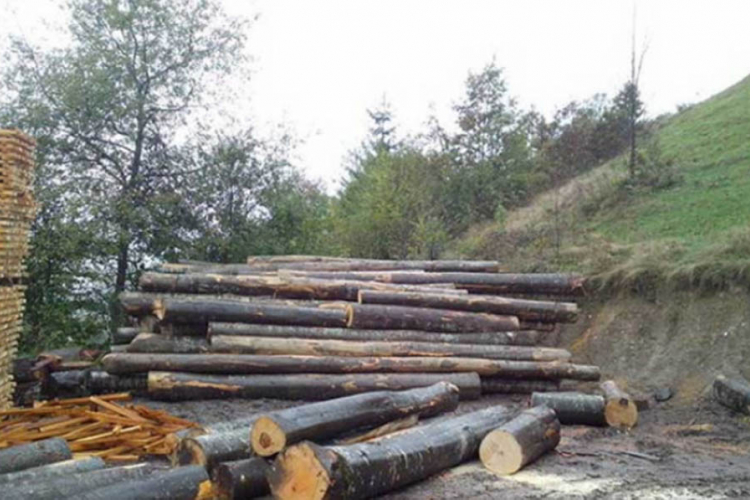 Nesreća u Borkovićima kod Banjaluke: Balvan usmrtio radnika