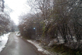 Grane nad putem i loše bankine