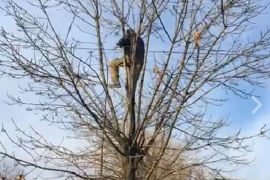 Muškarac u Kalesiji pokušao samoubistvo skokom sa drveta  (VIDEO)