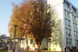 Gradiška: Ginekolog udaljen sa radnog mjesta zbog smrti porodilje