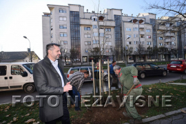 Radojičić zasadio lipu za više zelenila u Banjaluci