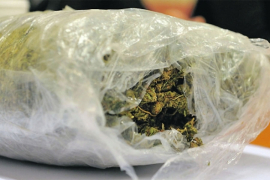 U braniku škode krio 7,5 kilograma marihuane