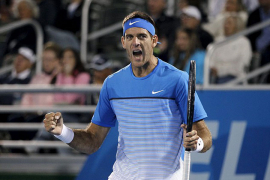 Del Potro donio Argentini izjednačenje