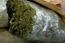Policija zaplijenila 74 kilograma marihuane u Kraljevu i Nišu