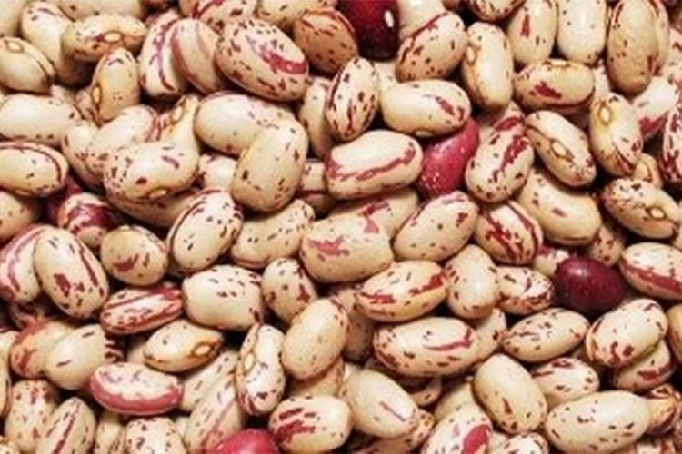 Djeca u vrtiću jela grah s kamenjem