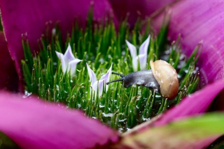 Ovo su finalisti izbora National Geographic za fotografiju godine (FOTO)