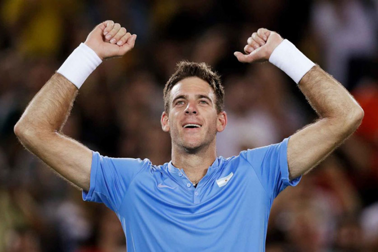 ATP proglasila najbolje u 2016.: Del Potro povratnik godine